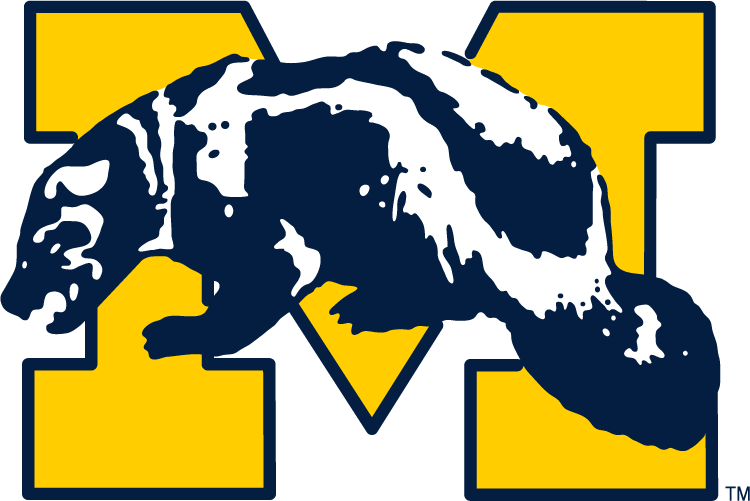 Michigan Wolverines 1964-1978 Primary Logo DIY iron on transfer (heat transfer)